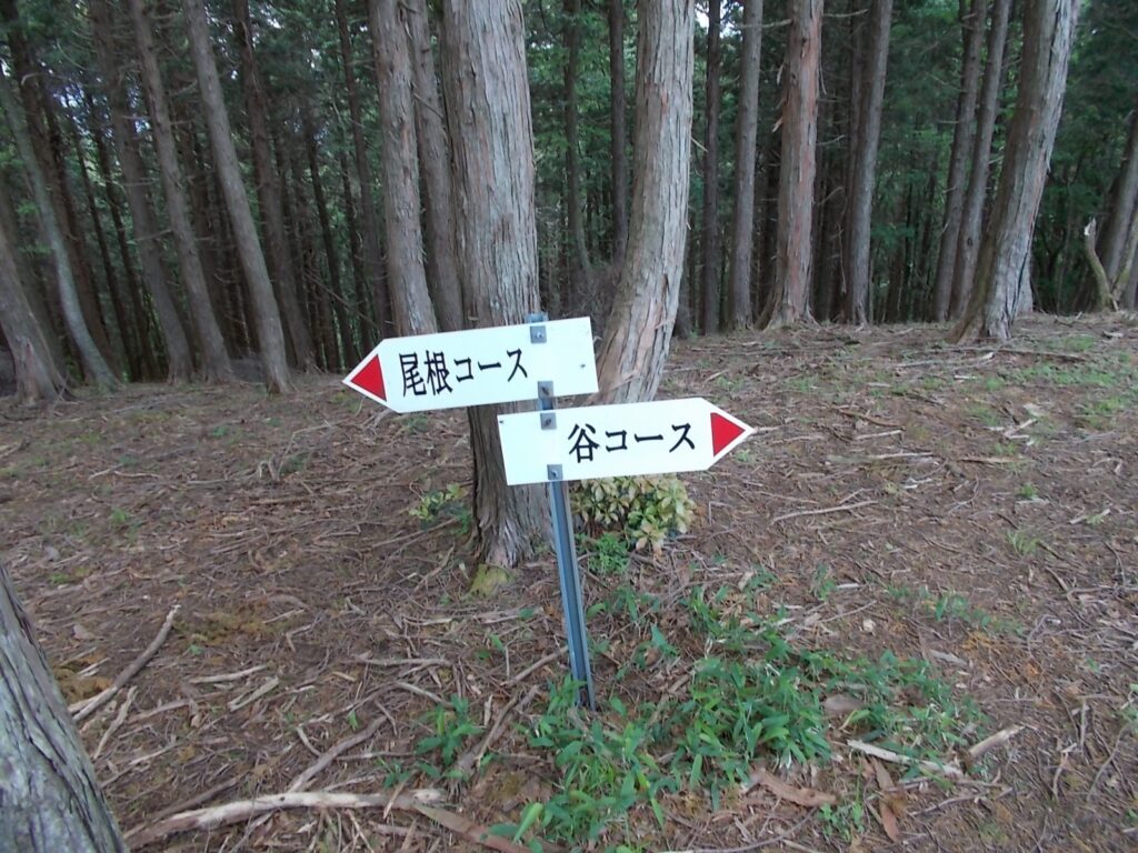 11：45　山頂手前の案内板。山頂はもうすぐ。
