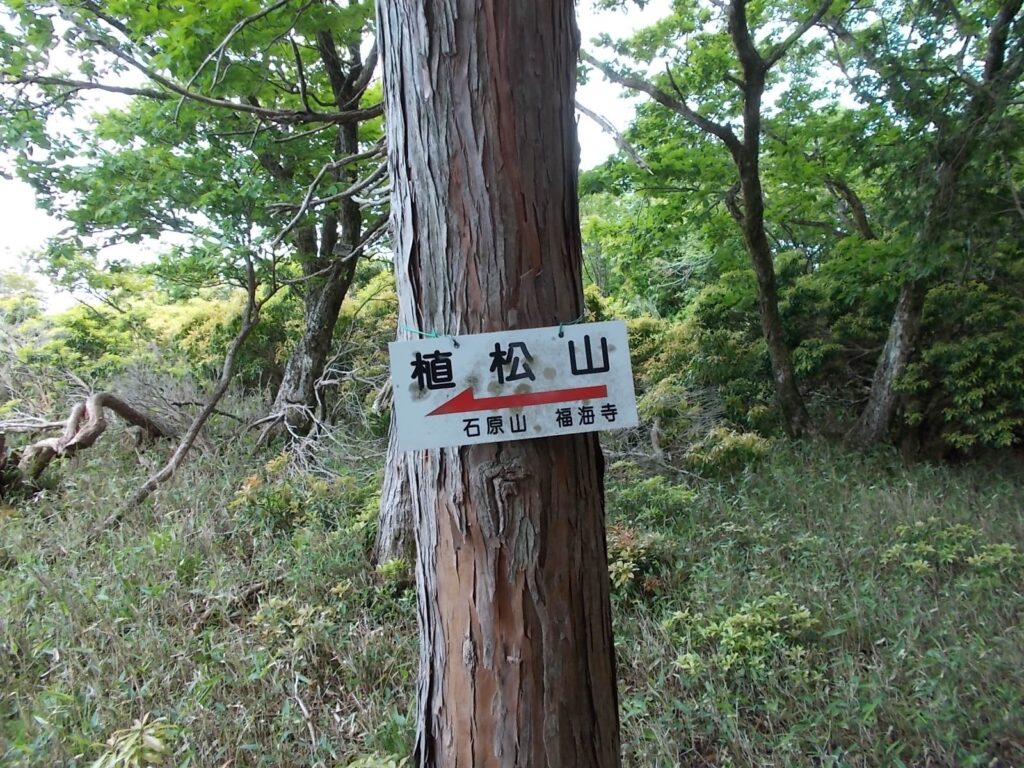 11：45　すぐそこです。