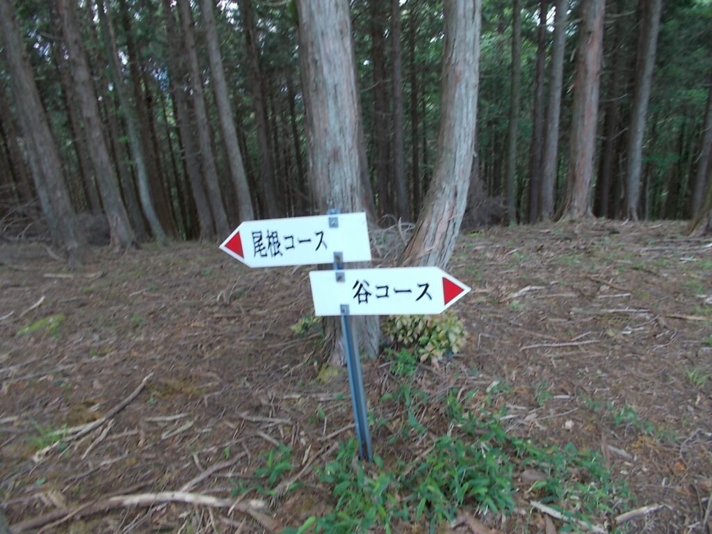 12：00　下山は谷コースへ。