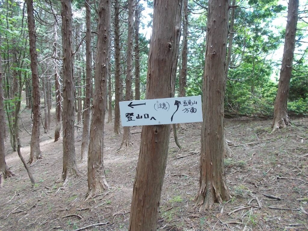 12：02　荒尾山への尾根筋と分かれて下っていきます。