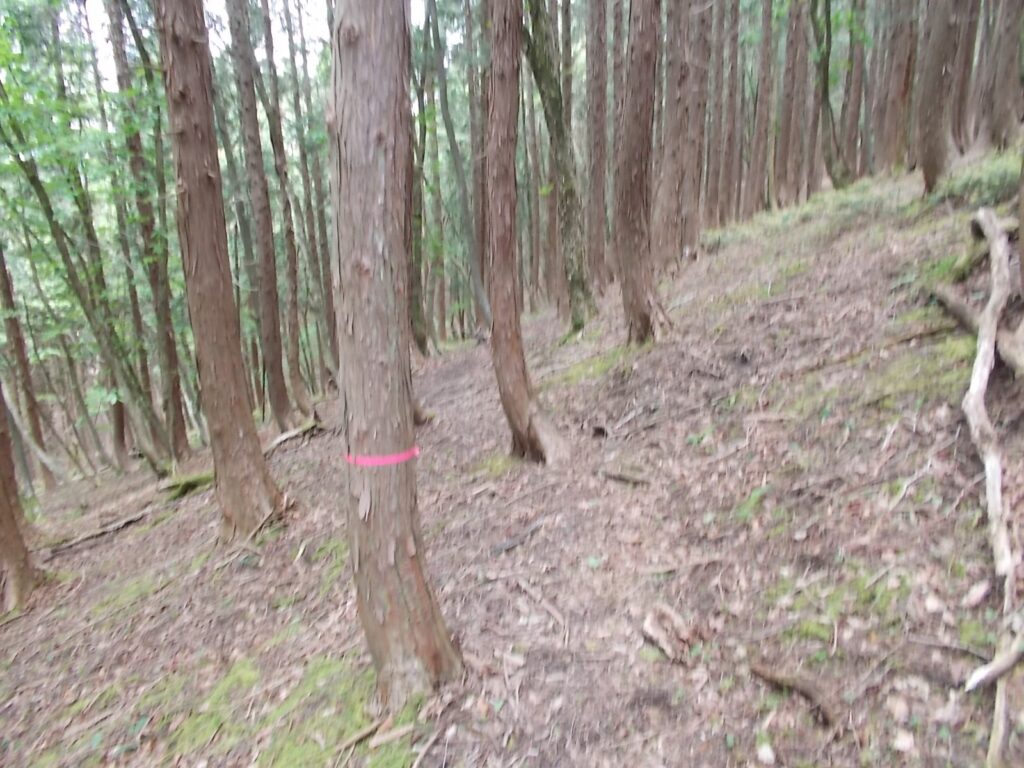 12：03　この赤テープが頼りです。