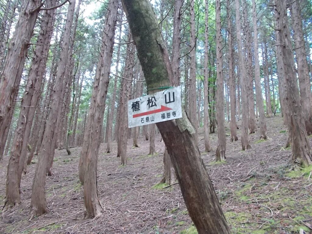 12：04　山頂への案内板。従来こちらがメインの登山道ですからね。