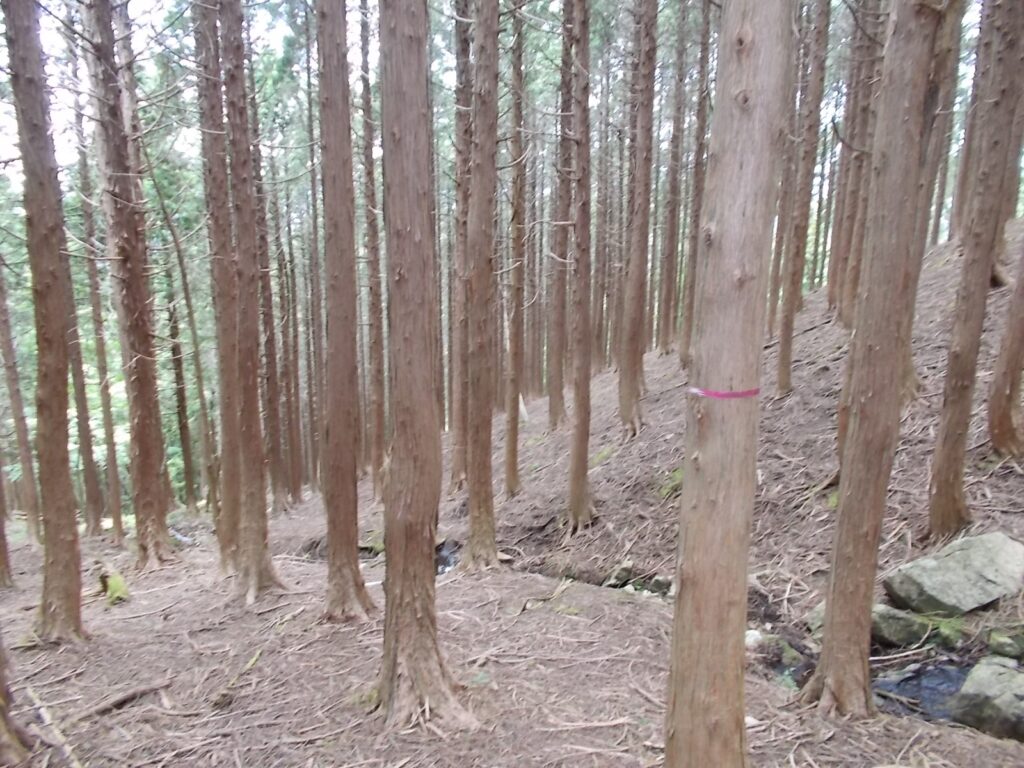 12：08　このあたりわかりにくいです。右側に注意して、探すと見つかります。