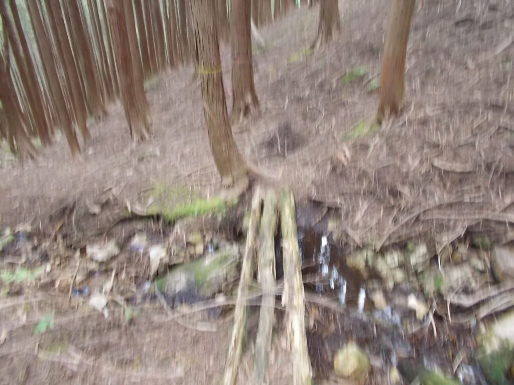 12：08　この橋を渡るようですが気持ち悪いので、橋を使わず渡りました。