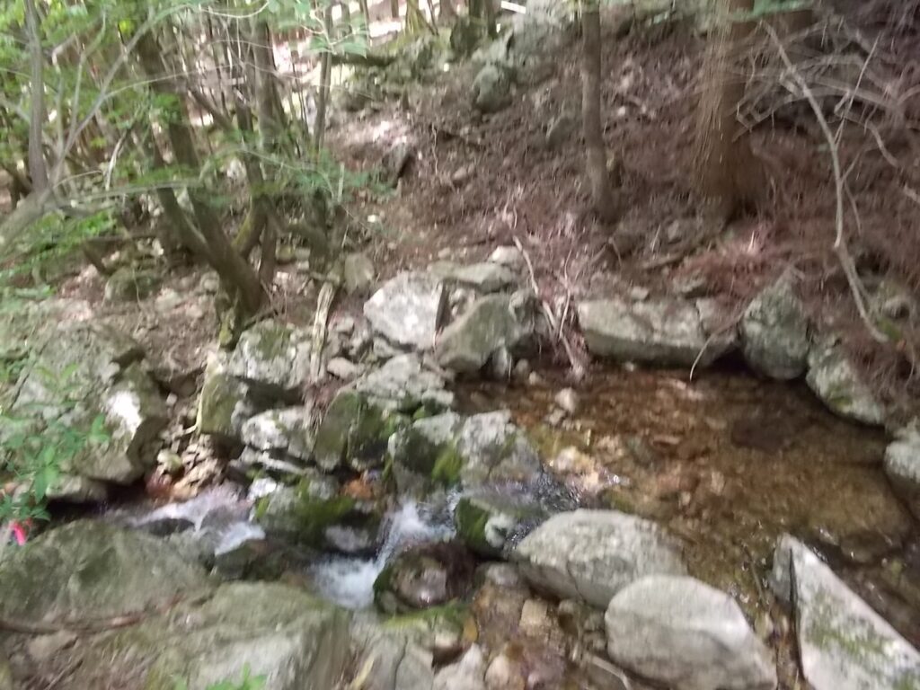 12：24　事実これを渡ります。