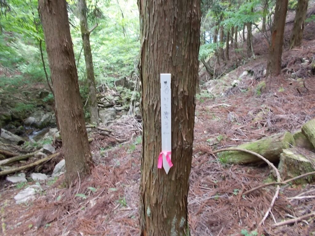 12：29　次もわかりにくい案内。ここも沢を渡ります。