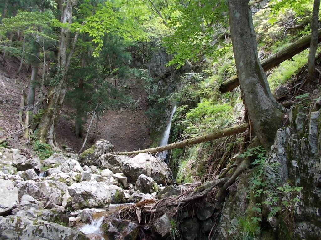 12：35　登山道からすぐですが、なかなか見えません。写真右奥にあります。