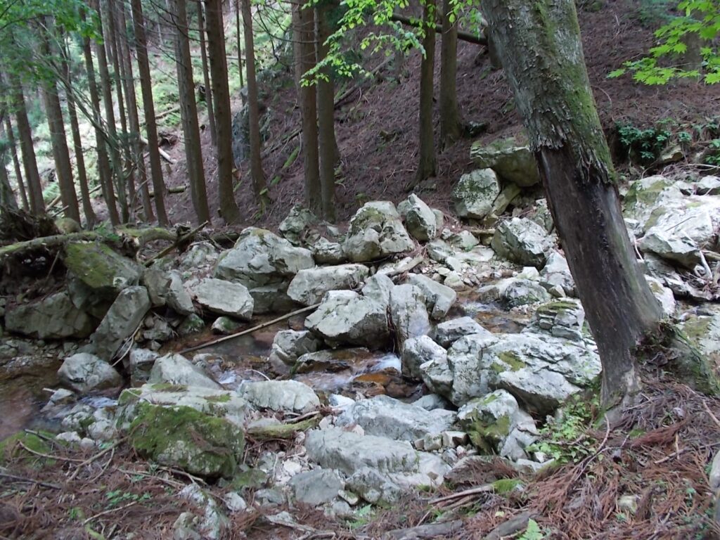 12：39　またまた流れを渡ります。これで何度目でしょうか。