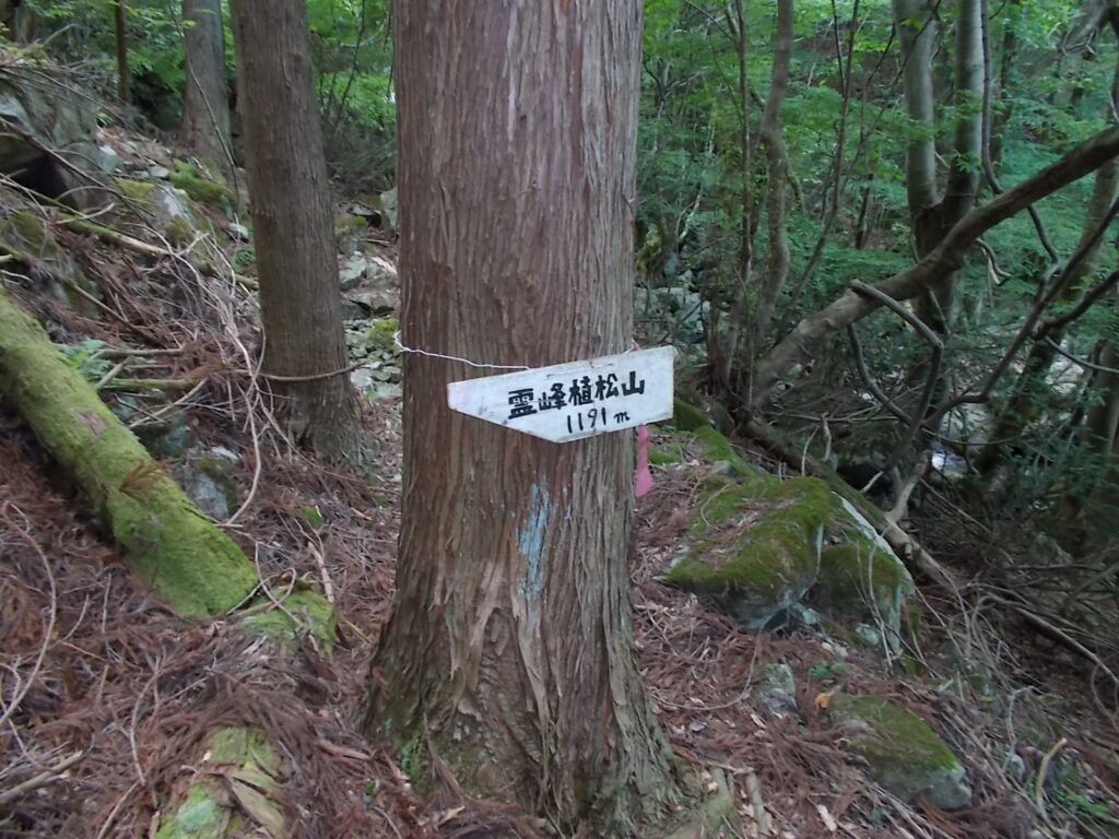 12：55　案内板。もともとこちらのコースがメインの登山道なので、上りの案内はたくさんあります。