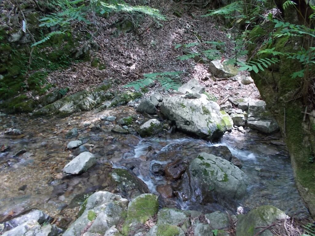 12：57　ここも渡ります。