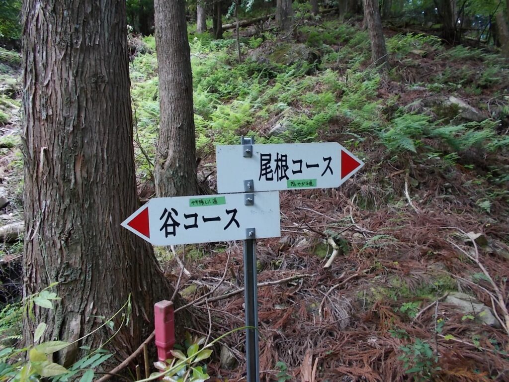 12：59　谷コースと尾根コースの分岐に戻りました。