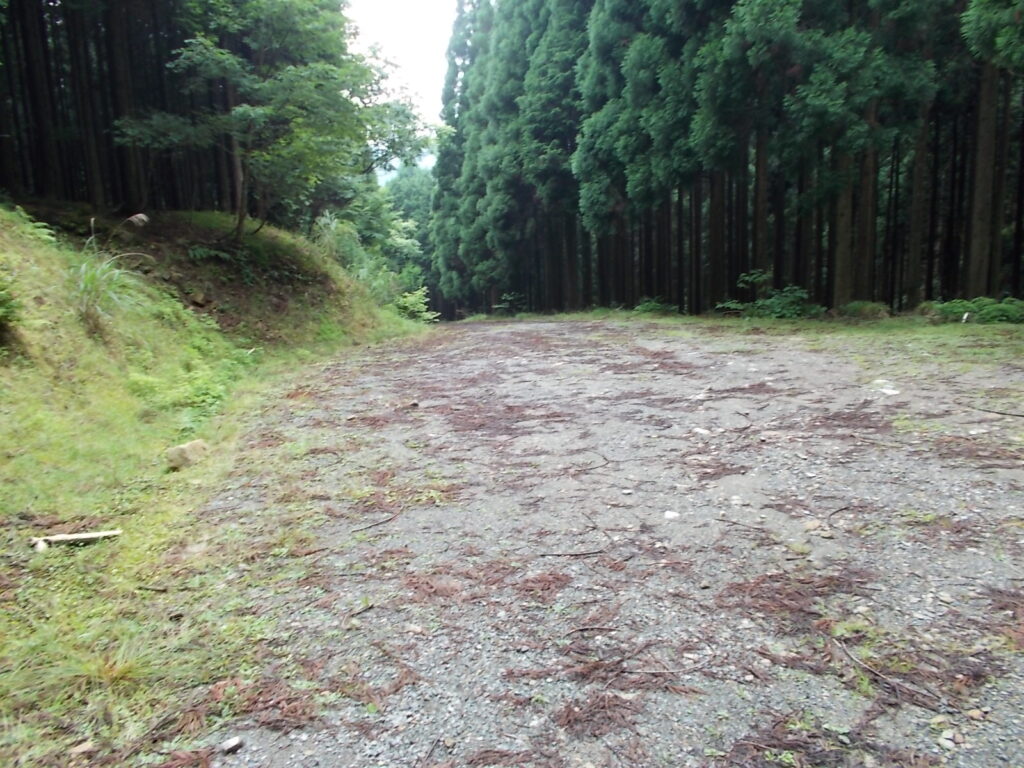 11：05　林道奥の広場。ここに駐車する。室尾山からの分岐からはけっこう上りました。