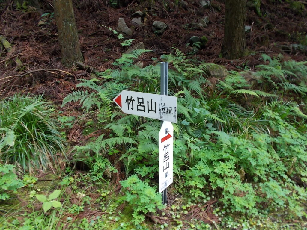 11：07　すぐ横が谷ルートと尾根ルートの分岐です。今回は谷ルートから上り尾根ルートで降ります。