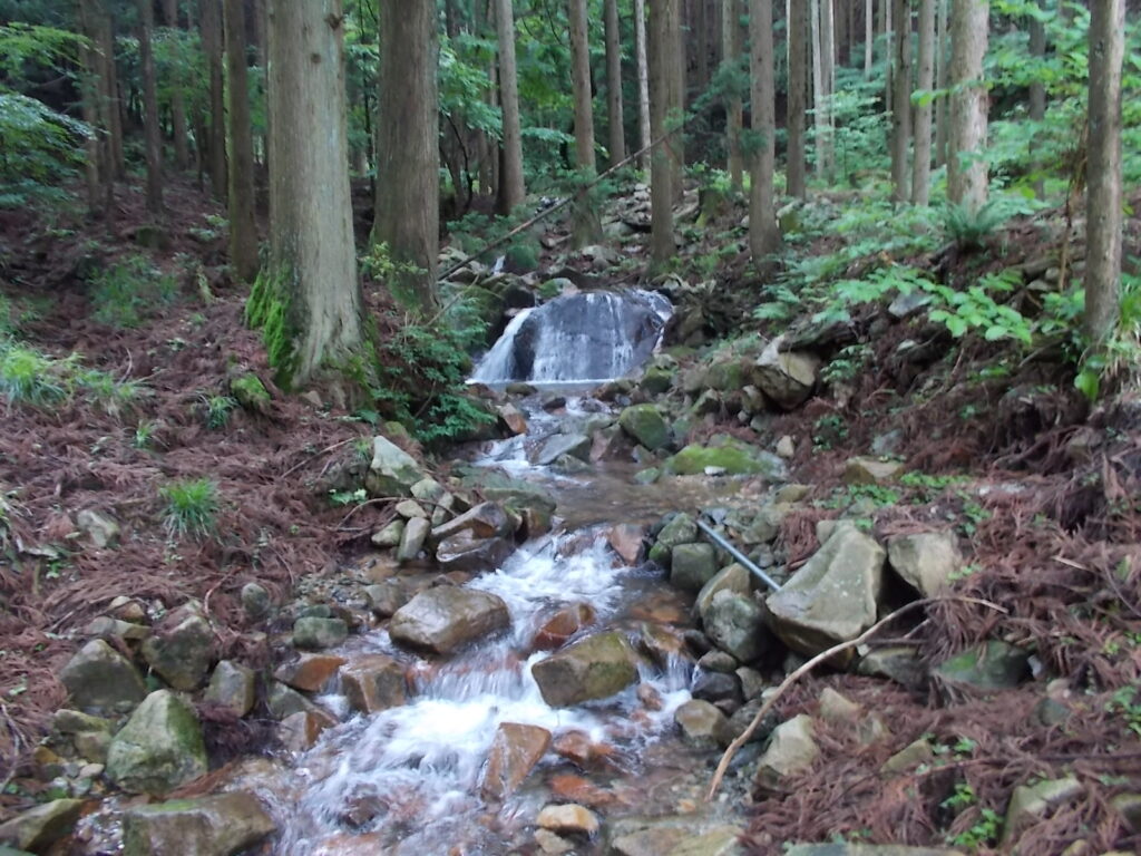 11：07　標柱のすぐ後ろにある竹呂岩流滝です。ま、普通の沢の上流によくあります。