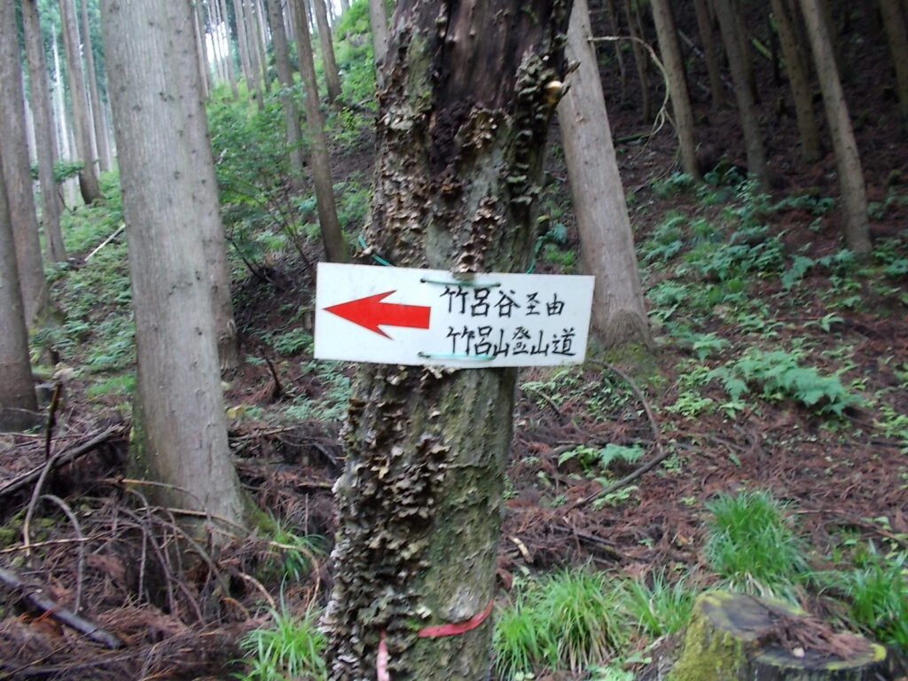 11：08　案内板に従って進みます。