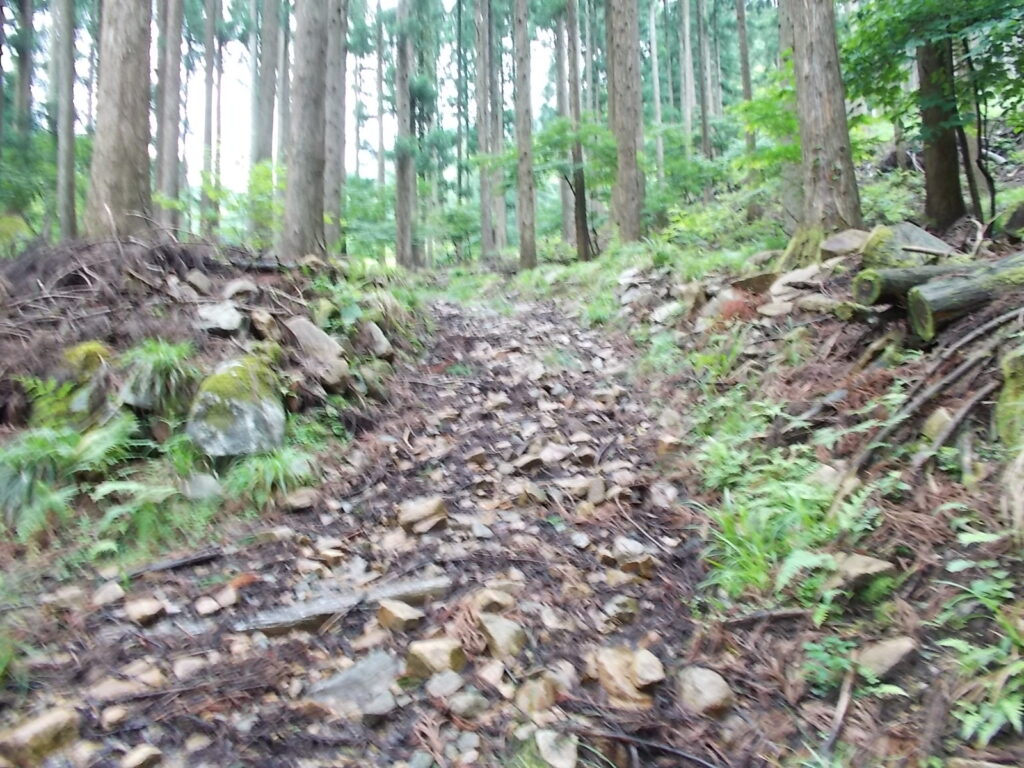 11：09　谷ルートの様子。最初は歩きやすいんですが。