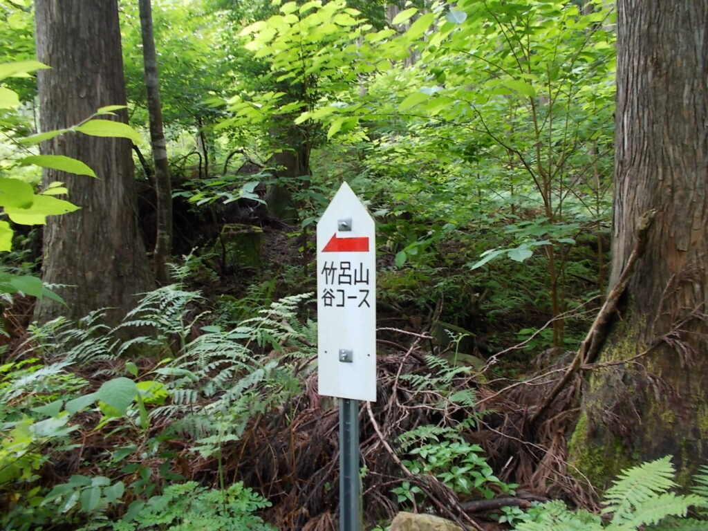 11：10　案内板。このあたりからけっこう草が茂ってて歩きにくいです。道も川みたいになっているし。