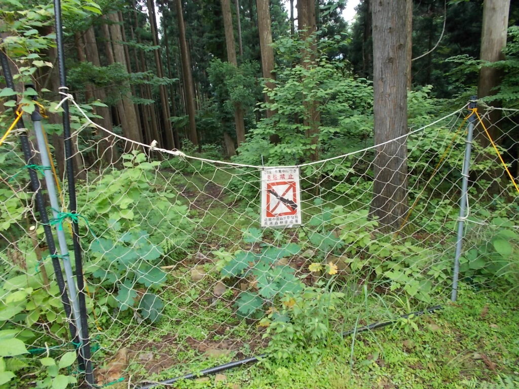 11：11　最初のネットを通ります。