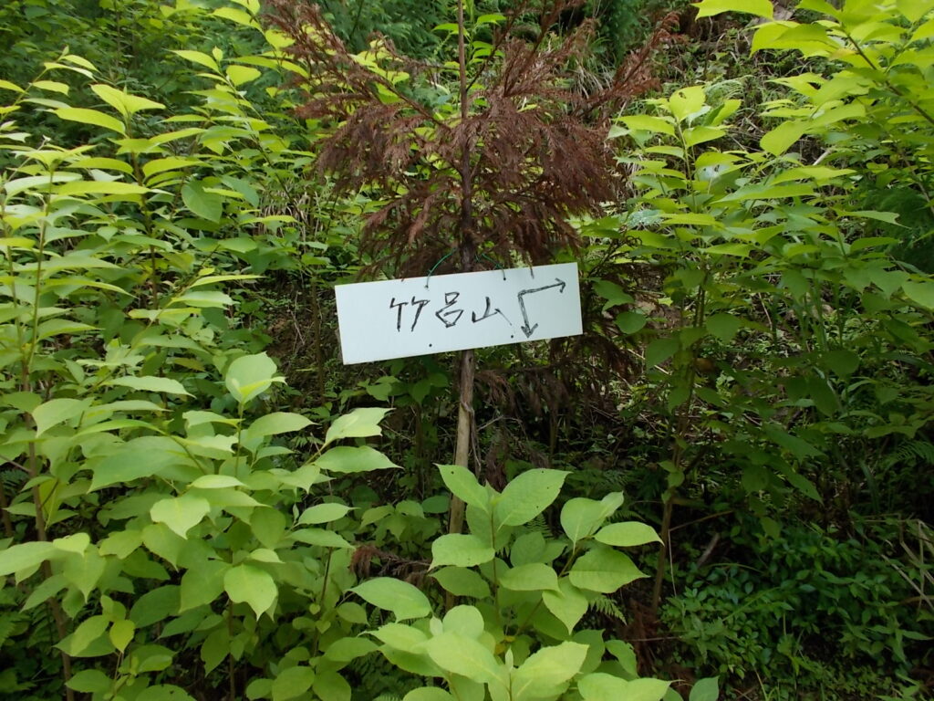 11：19　案内板。右向きはわかりますが、下向きって？元に戻って上りなおせっってこと？