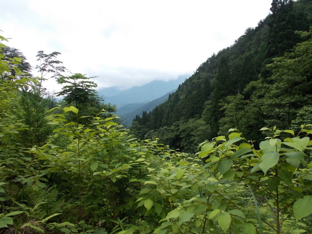 11：19　途中から見えた景色。唯一かもしれません。