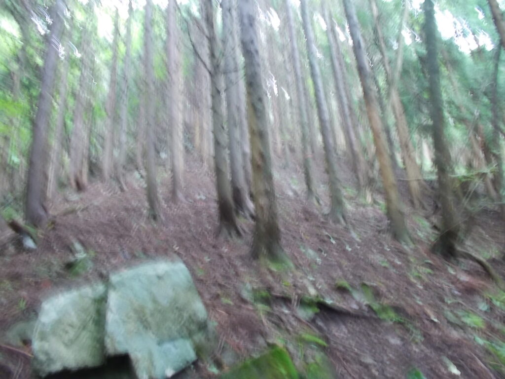 11：29　このあたりから傾斜がきつくなってきます。