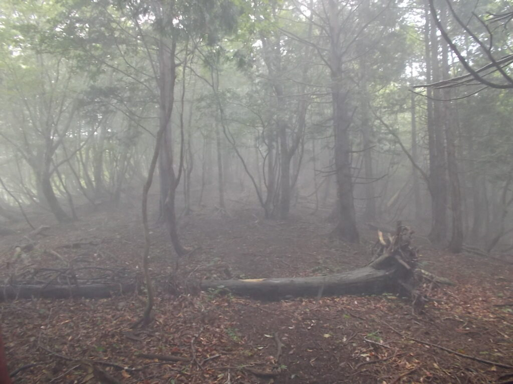 11：50　ここからガスの中に突入か。と思いましたが、一瞬だけでした。雲が通ったんでしょう。