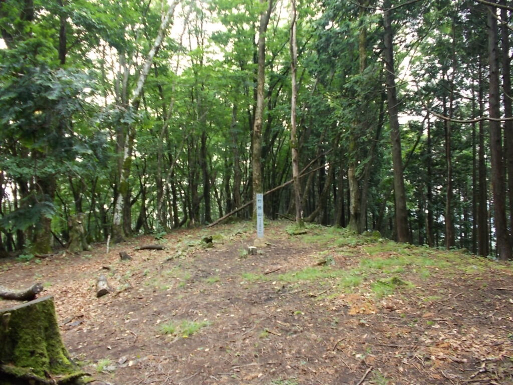 11：56　山頂の様子。周りはまったく見えないし、ゴロちゃんの2回目のご挨拶があったので、すぐに下山しました。