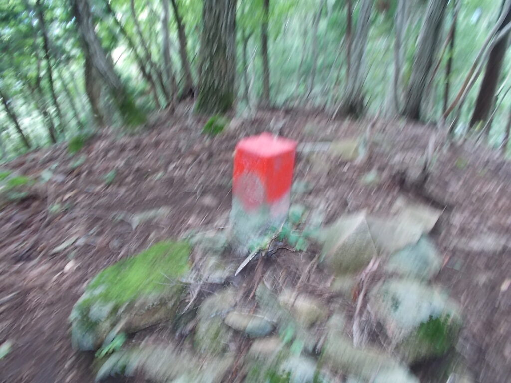 12：15　490とあるピークの石。実際の標高は900ｍくらい。この辺りで山が騒ぎ出したので、大急ぎで降ります。