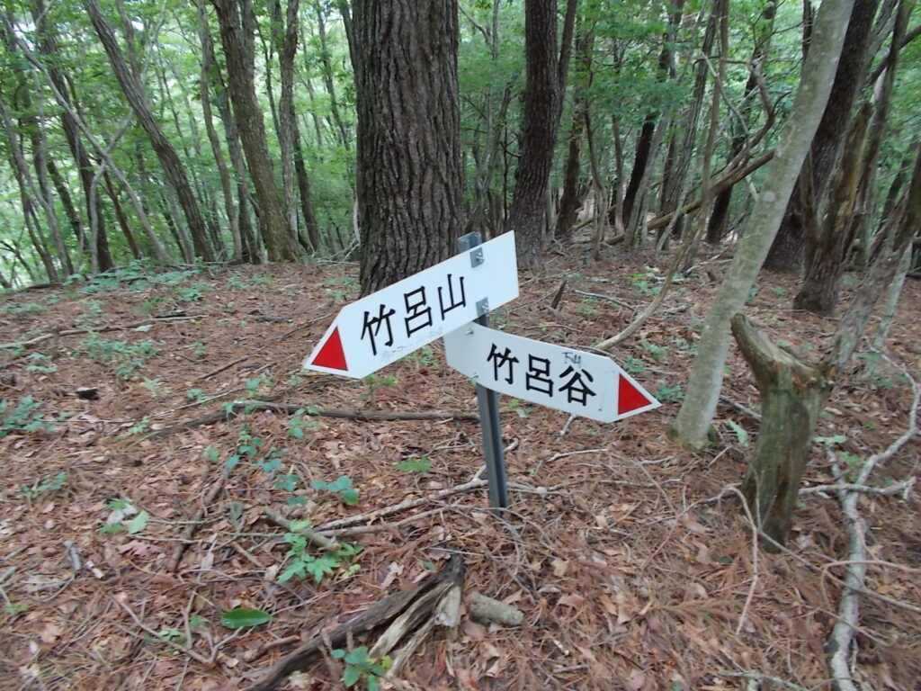 12：17　竹呂谷への分岐。