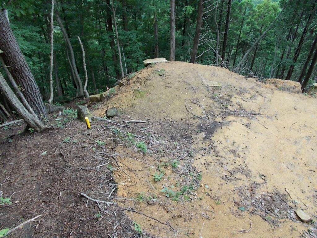 12：22　林道に出ました。といっても端っこですが。ここで鹿に出会いました。ラッキー！