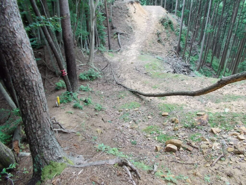 11：25　また、林道に出ました。
