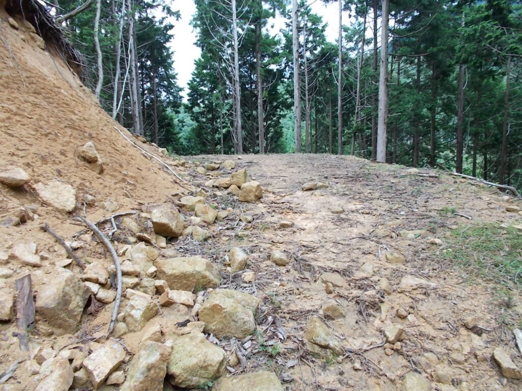 12：25　すこし林道を歩きます。登山道は左上にあるようです。