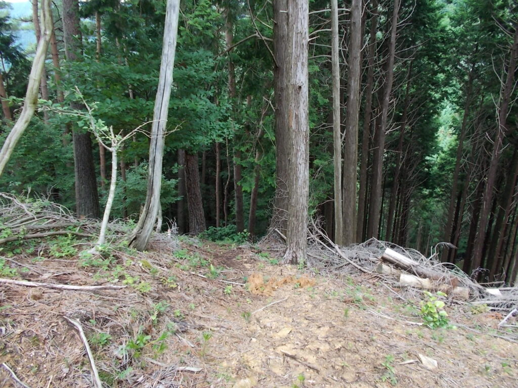 12：26　林道終点。ここで、登山道と合流します。後はひたすら降りるだけ。