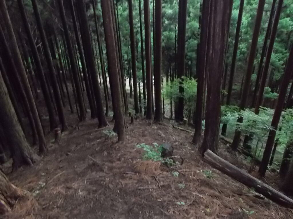 12：29　駐車地点が見えてきました。