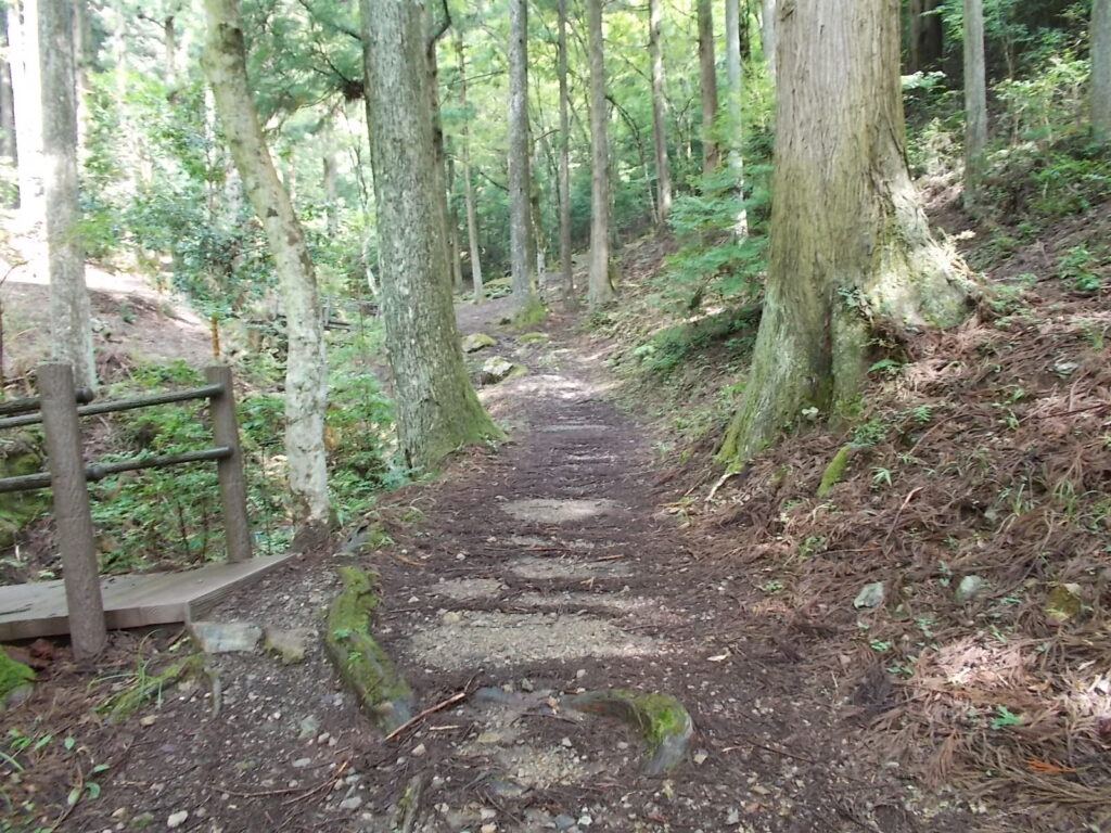 9：53　歩き出しはこんな感じです。
