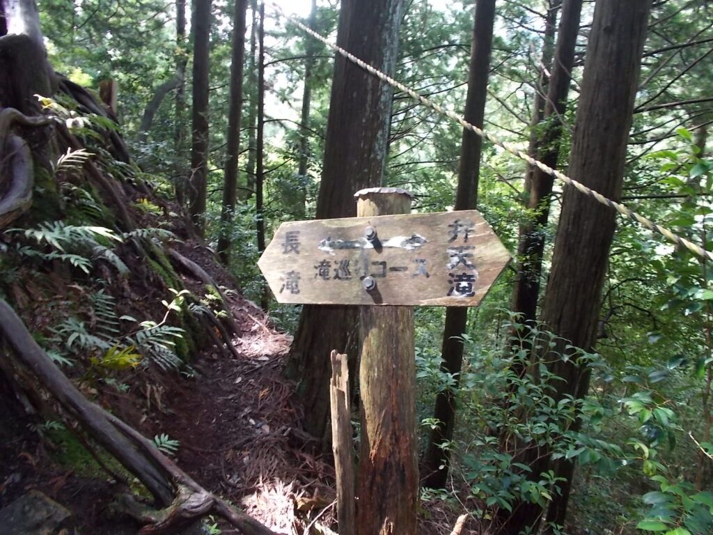 10：00　木の根を登ったらすぐの案内板。次は長滝です。
