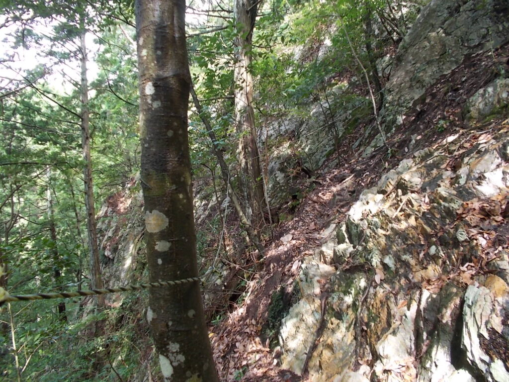 10：02　ロープ場を登ります。ロープなくても大丈夫ですが、安全のために。