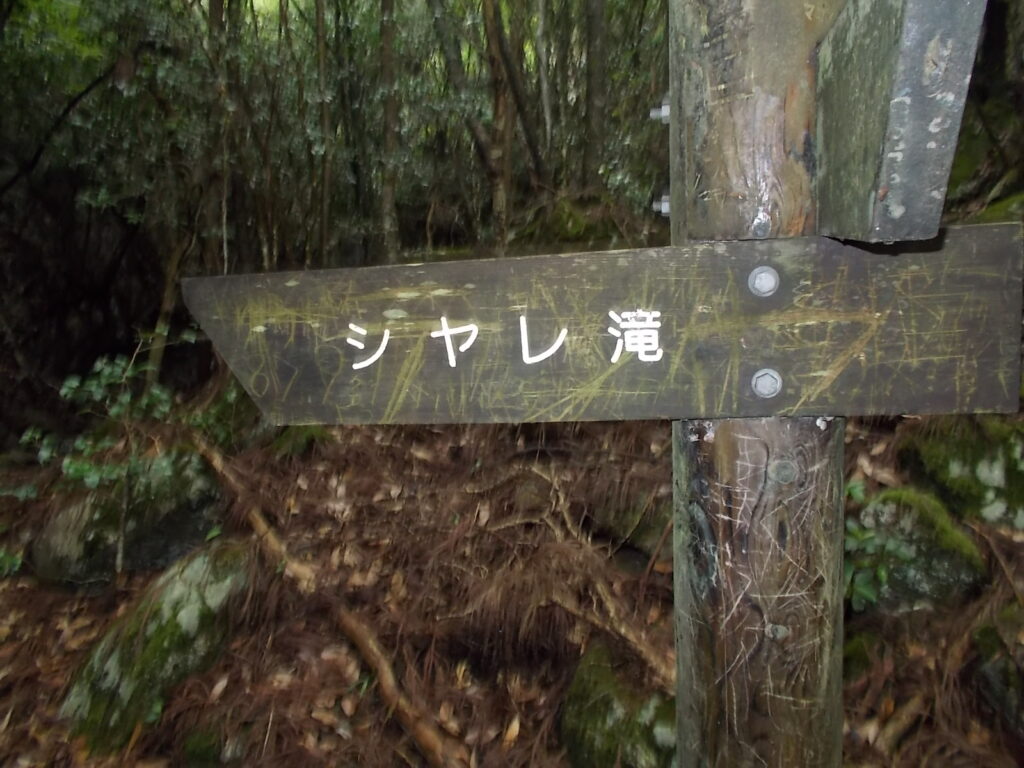 10：09　シャレ滝への案内板。