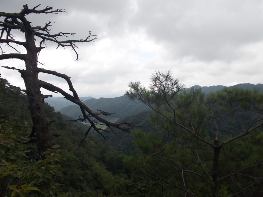 10：17　少し歩くと見晴らしの効く所に出ました。このルート唯一でしょうか。