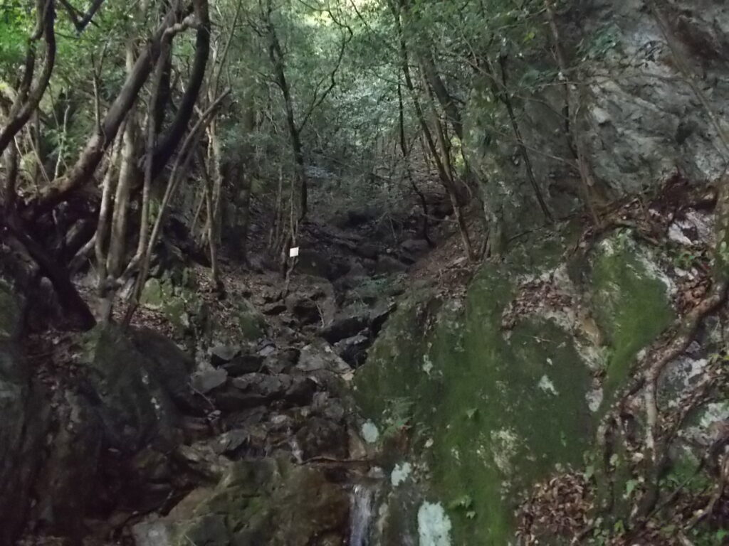 10：20　このあたりわかりにくいですが、案内板が上を指しているので、この沢を登っていきます。