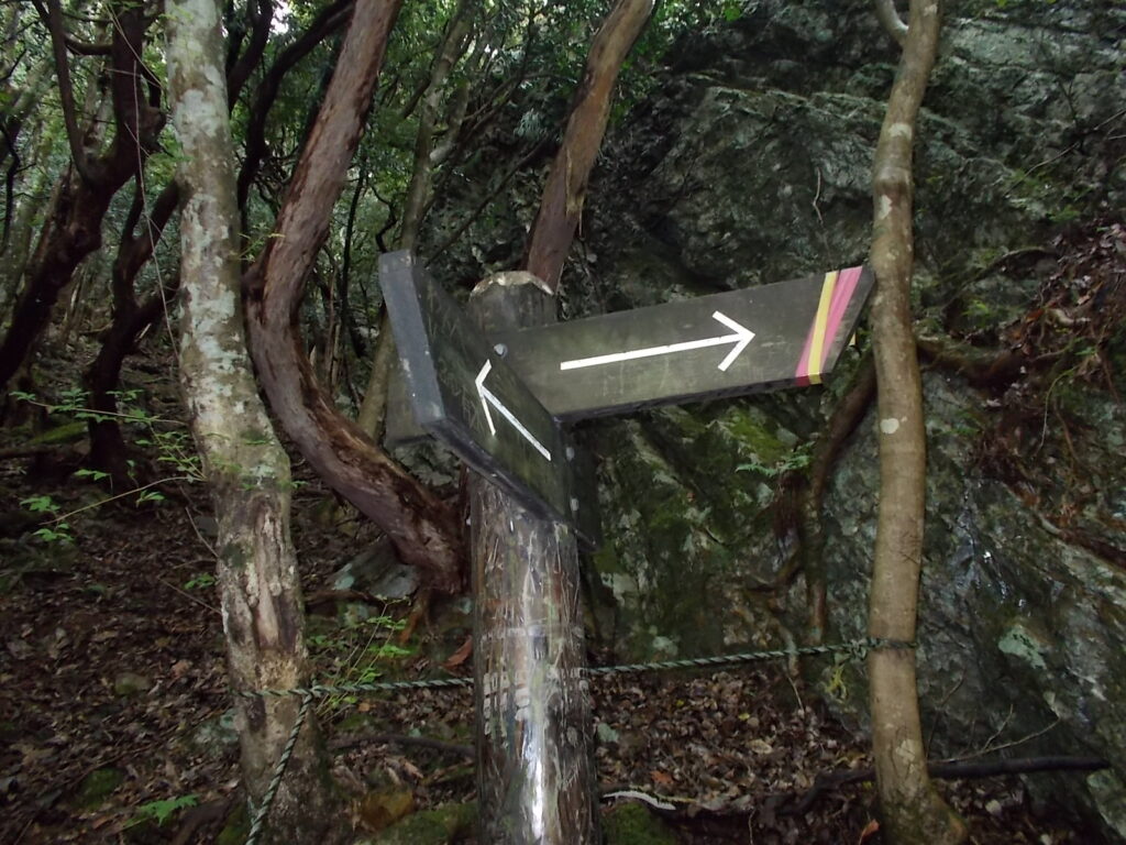 10：24　さらに続きます。