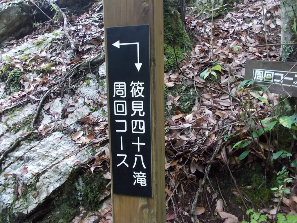 10：31　おっかな系でしたが、案外簡単に登れてしまいました。登った所にある案内板、周回コースへ進みます。