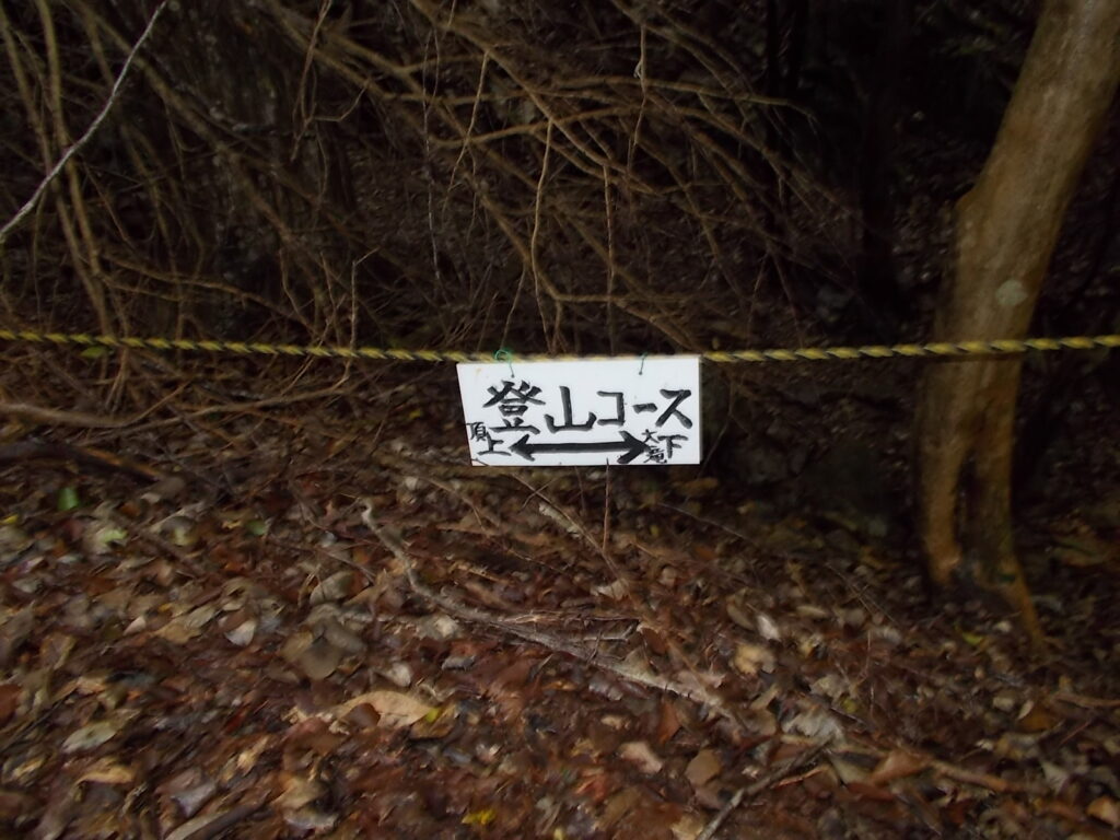 10：32　地面すれすれにある案内板。左へ。