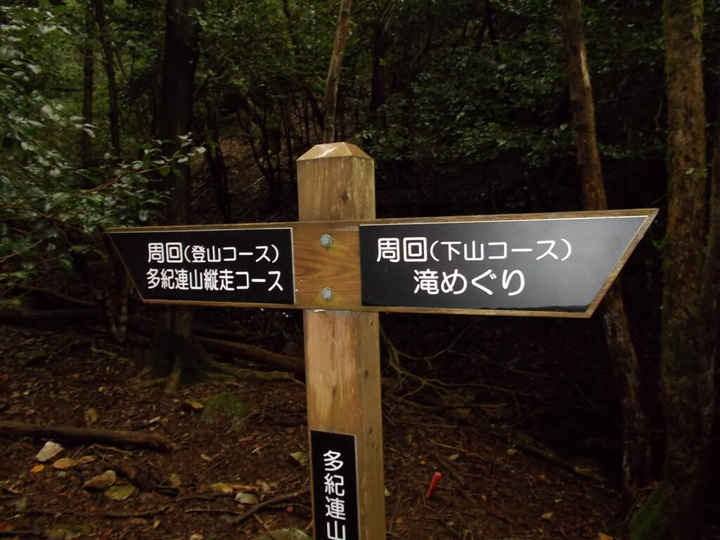 10：35　案内板。