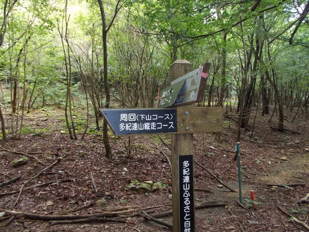 10：38　案内板。ここを左へ。右は八ヶ尾山へ。
