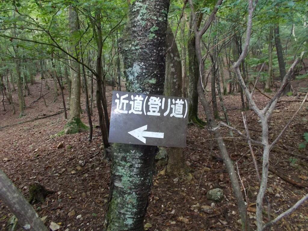 10：39　近道への案内。どちらもあまりかわらないようですが。