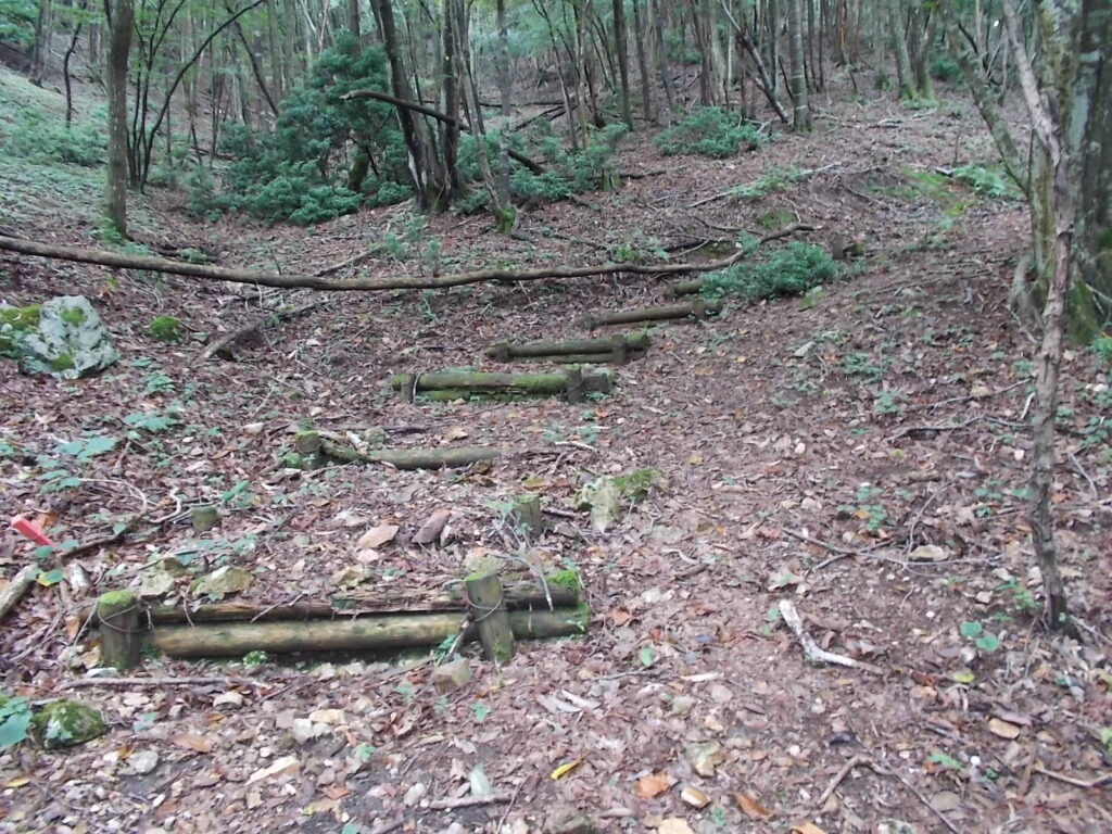 10：40　階段道ですが、無理に通る必要はなさそうです。