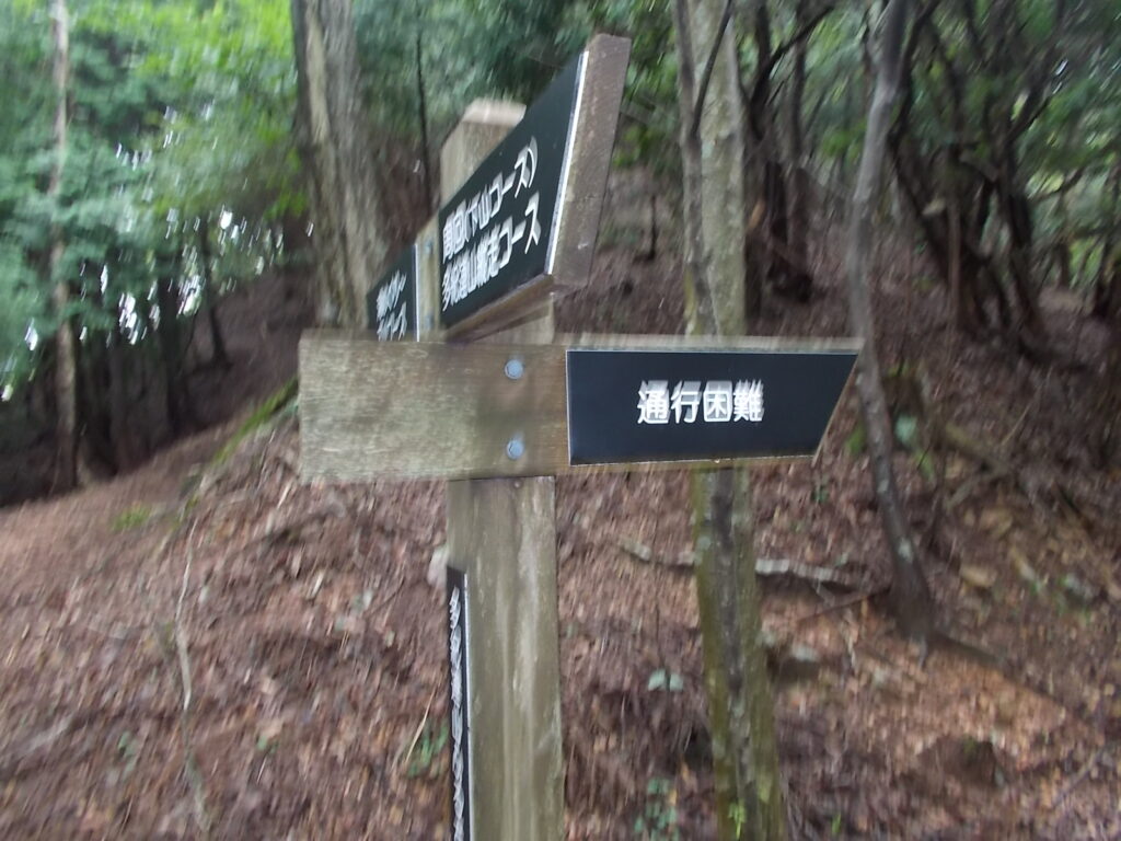 10：53　案内板の裏に林道がありますが、そちらへは通行困難となってます。
