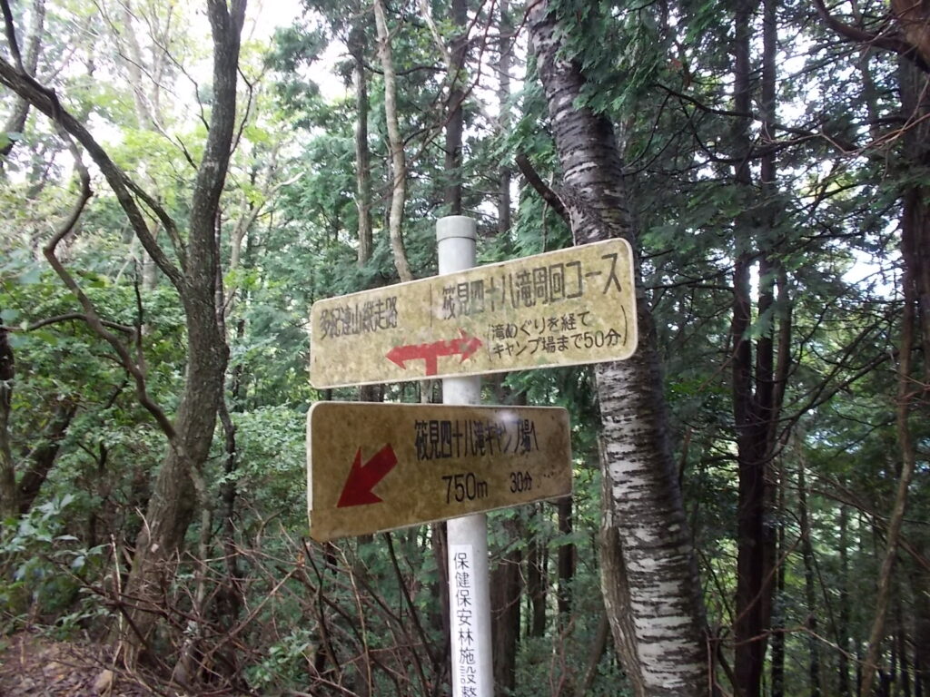 10：54　周回コースと縦走コースの分岐。縦走コースへ。