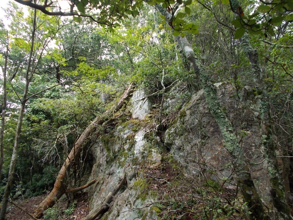 10：57　大きな岩が出てきました。